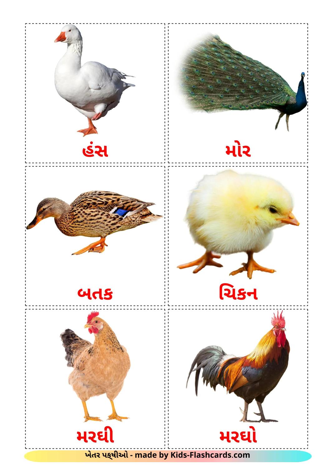 Farm birds - 12 gratis printbare gujaratie kaarten