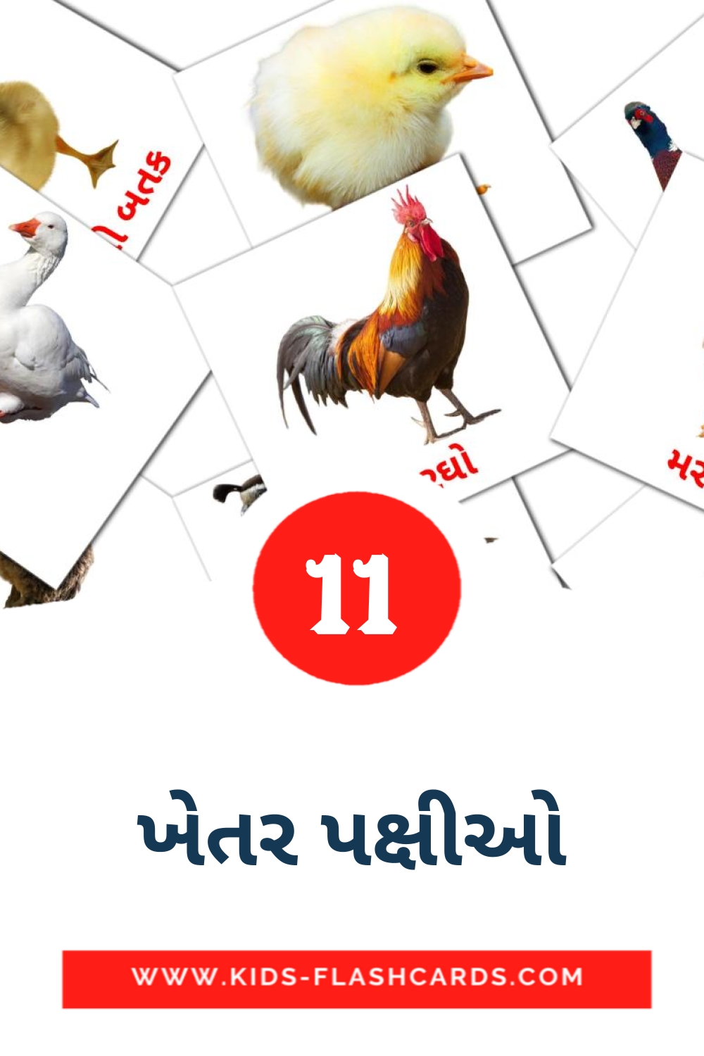 11 ખેતર પક્ષીઓ Bildkarten für den Kindergarten auf Gujarati