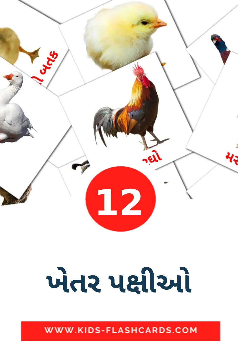 12 ખેતર પક્ષીઓ fotokaarten voor kleuters in het gujarati