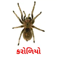 કરોળિયો Tarjetas didacticas