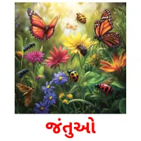 જંતુઓ Tarjetas didacticas