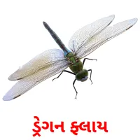 ડ્રેગન ફ્લાય Tarjetas didacticas