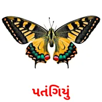 પતંગિયું Tarjetas didacticas