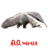 કીડી ખાનાર ansichtkaarten