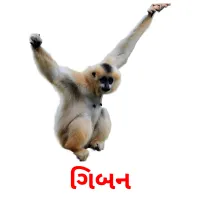 ગિબન ansichtkaarten