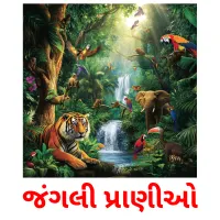 જંગલી પ્રાણીઓ ansichtkaarten