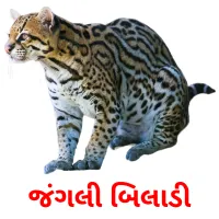 જંગલી બિલાડી ansichtkaarten