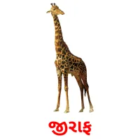 જીરાફ ansichtkaarten