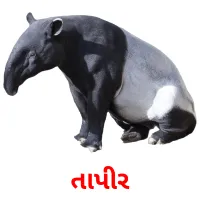 તાપીર ansichtkaarten