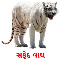 સફેદ વાઘ ansichtkaarten