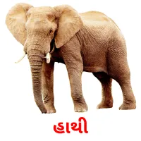 હાથી ansichtkaarten