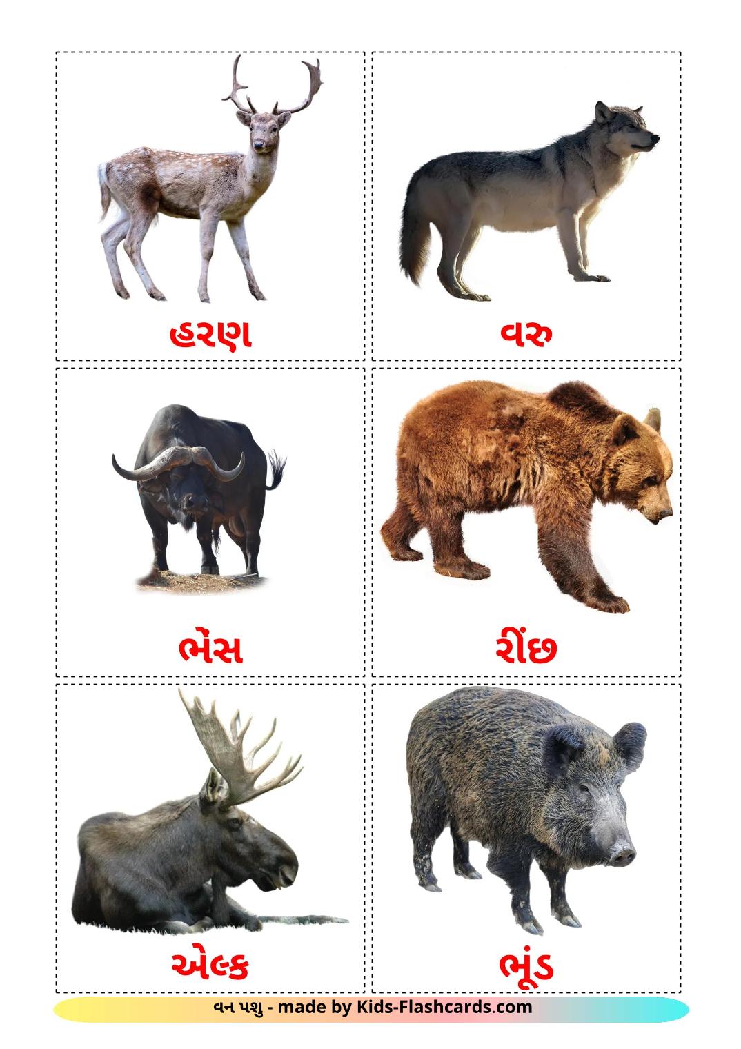 Animais da Floresta - 23 Flashcards gujaraties gratuitos para impressão