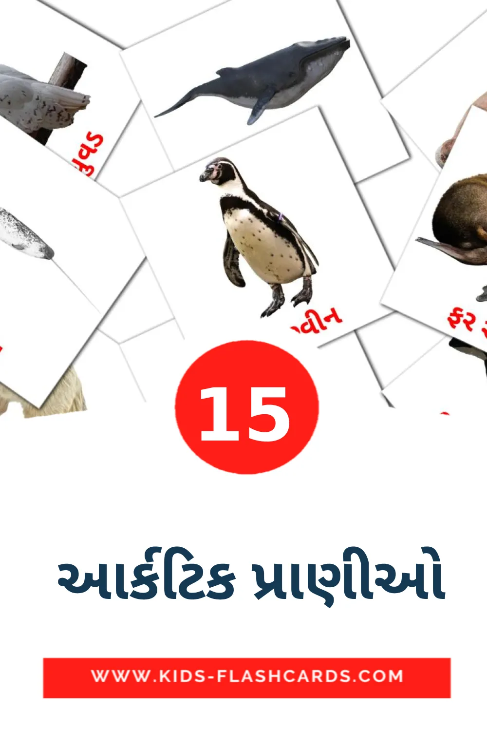 15 Cartões com Imagens de  આર્કટિક પ્રાણીઓ para Jardim de Infância em gujarati