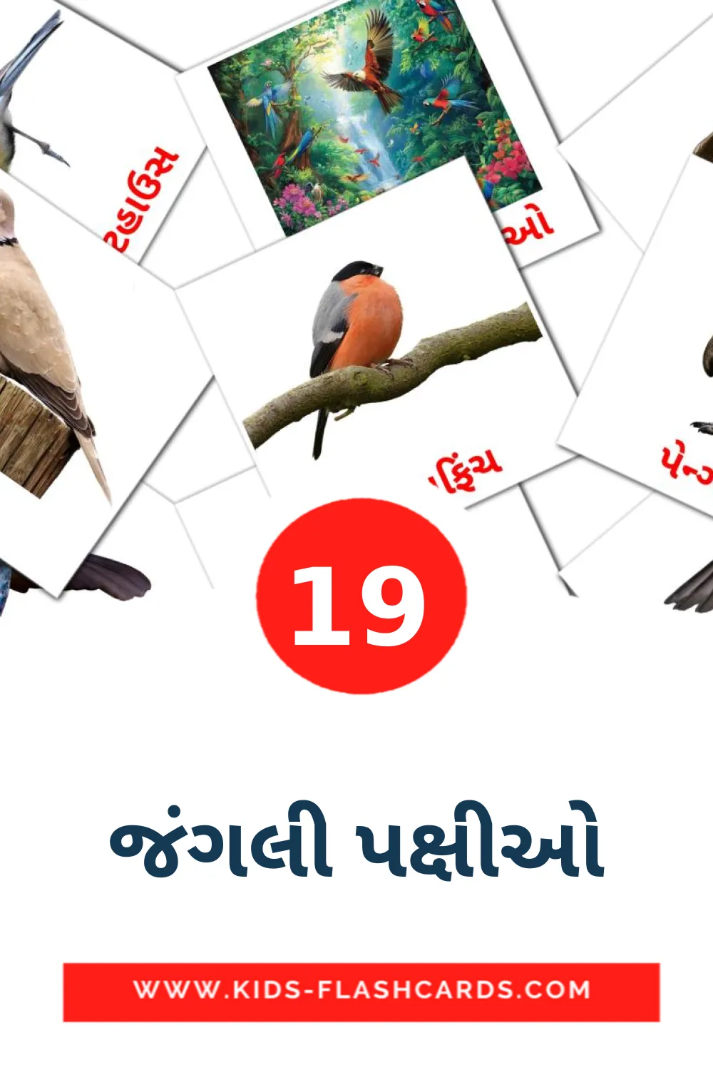 19 જંગલી પક્ષીઓ fotokaarten voor kleuters in het gujarati