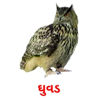 ઘુવડ ansichtkaarten