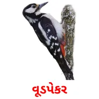 વૂડપેકર ansichtkaarten