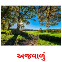 અજવાળું ansichtkaarten