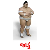 જાડું ansichtkaarten