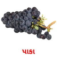 પાકા ansichtkaarten