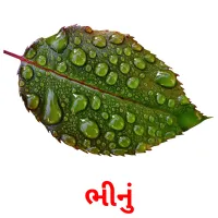 ભીનું ansichtkaarten