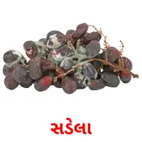 સડેલા ansichtkaarten
