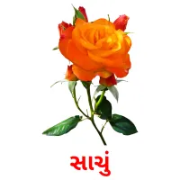 સાચું ansichtkaarten