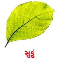 સુકું ansichtkaarten
