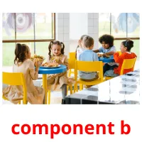 component b Bildkarten für Kinder