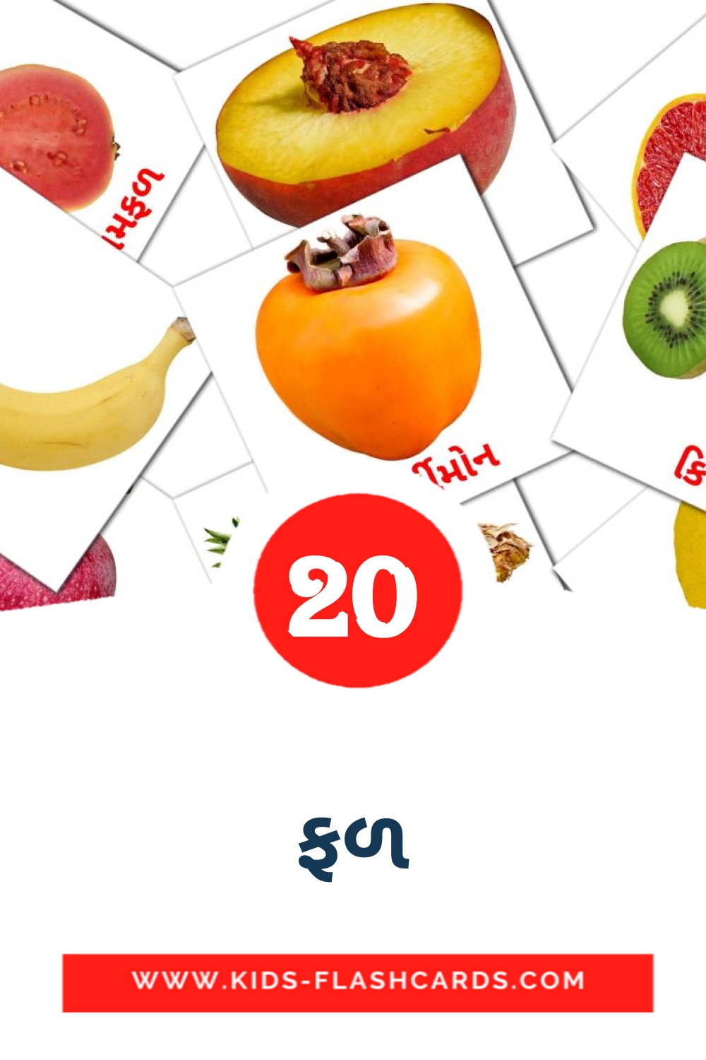 20 ફળ Picture Cards for Kindergarden in gujarati
