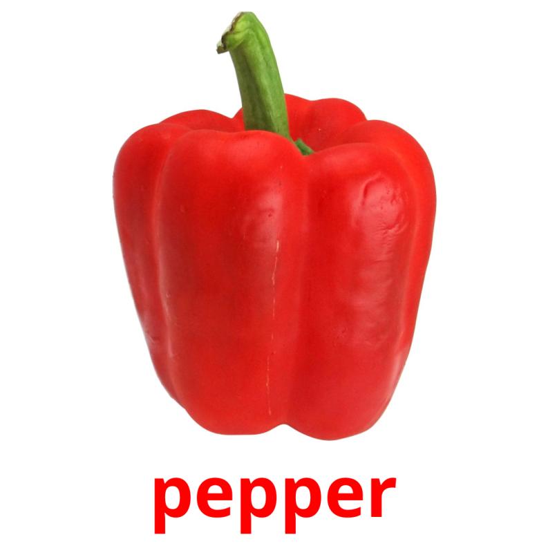pepper picture flashcards