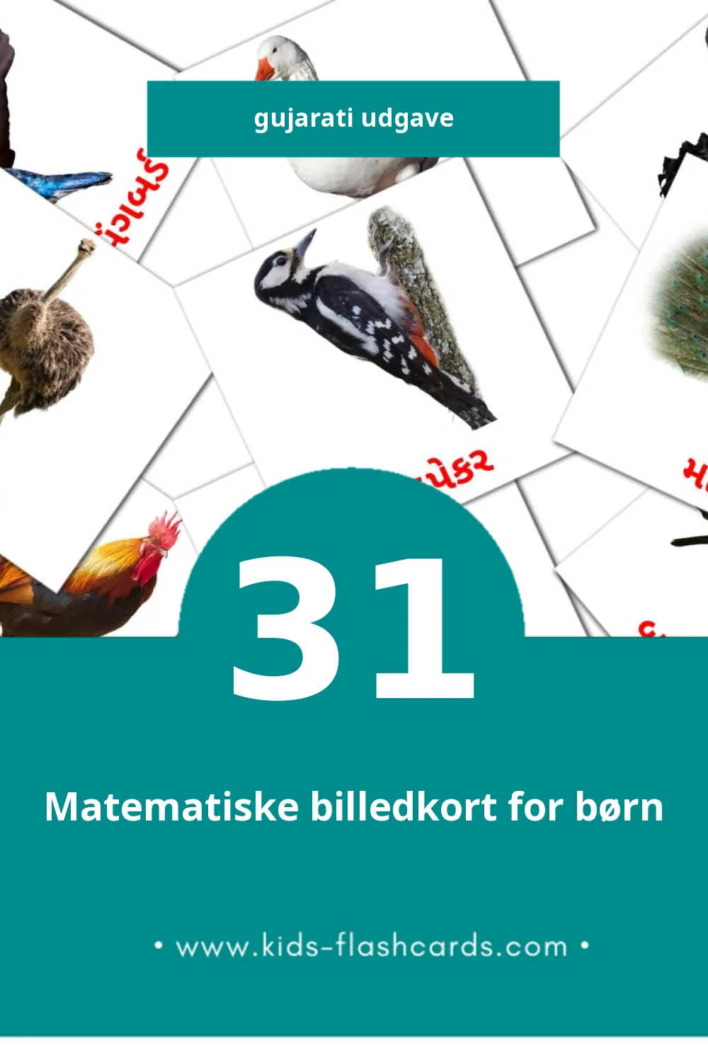 Visuelle billedkort for børn om પક્ષીઓ til småbørn (31 kort på Gujarati)