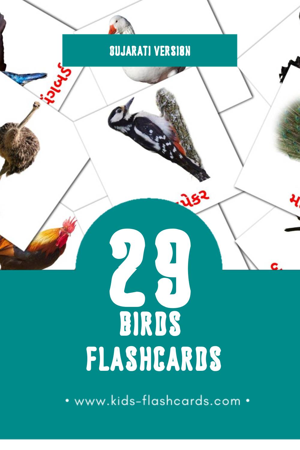 Visual પક્ષીઓ Flashcards for Toddlers (29 cards in Gujarati)