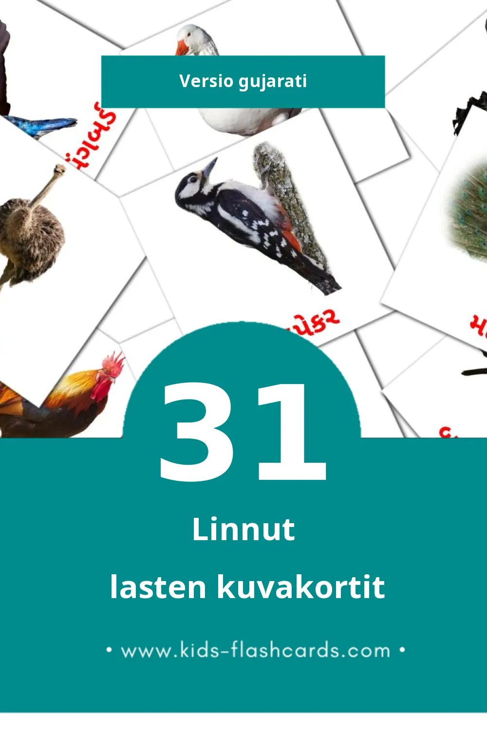 પક્ષીઓ lasten kuvakortit pikkulapsille (31 korttia Gujaratiksi)
