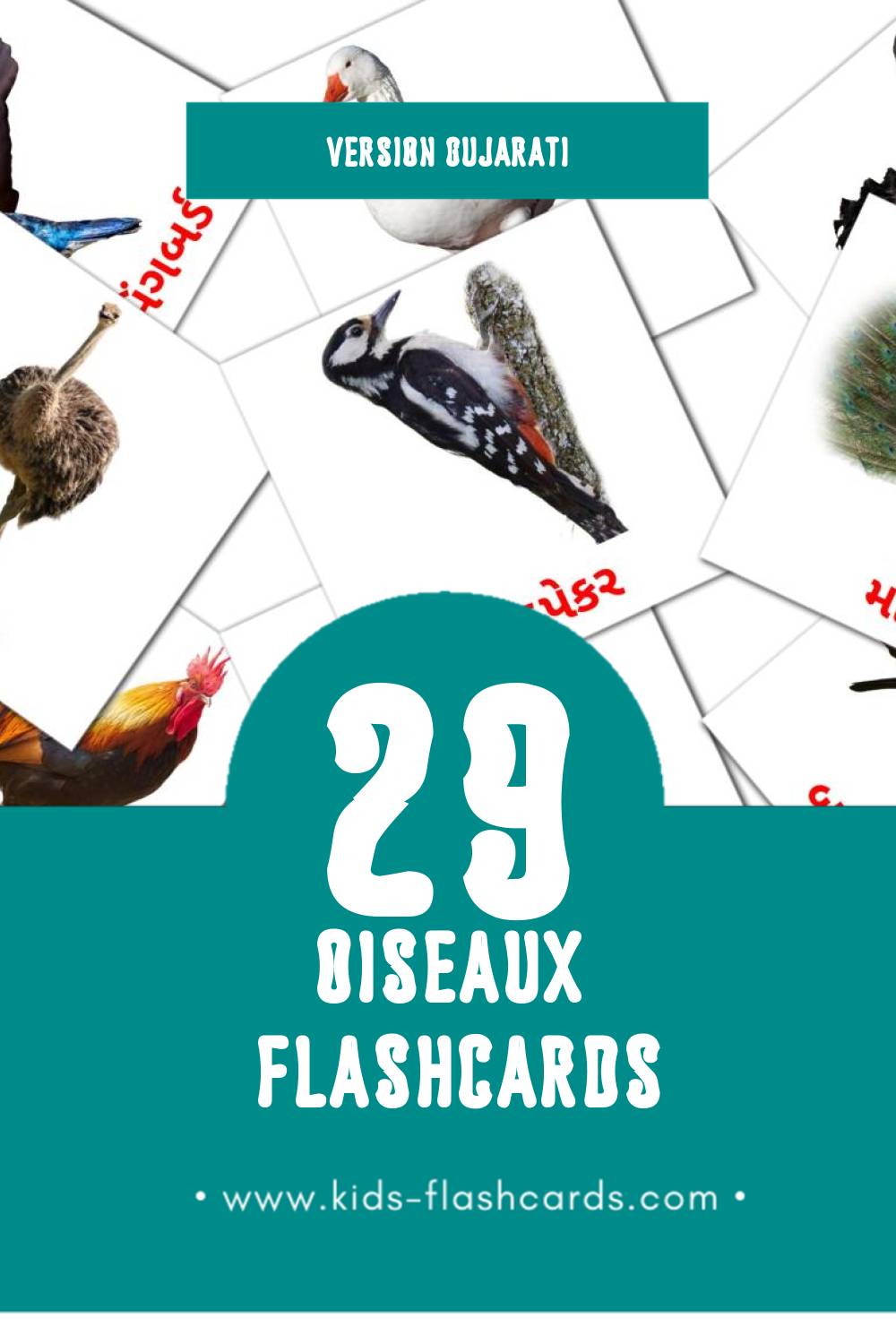 Flashcards Visual પક્ષીઓ pour les tout-petits (29 cartes en Gujarati)