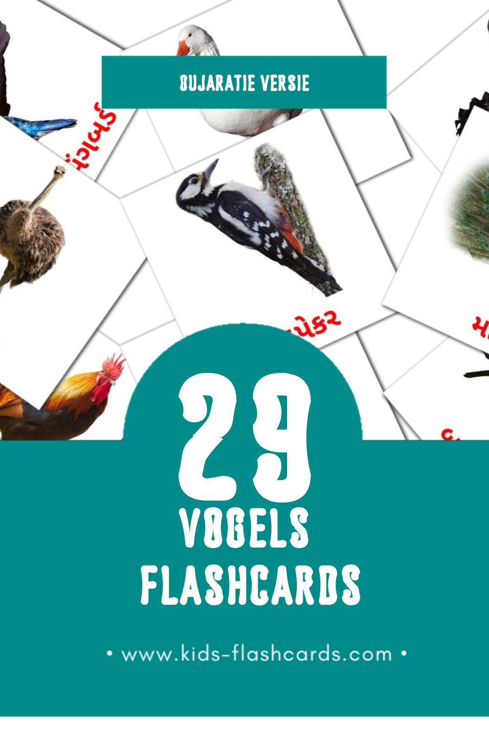 Visuele પક્ષીઓ Flashcards voor Kleuters (29 kaarten in het Gujarati)