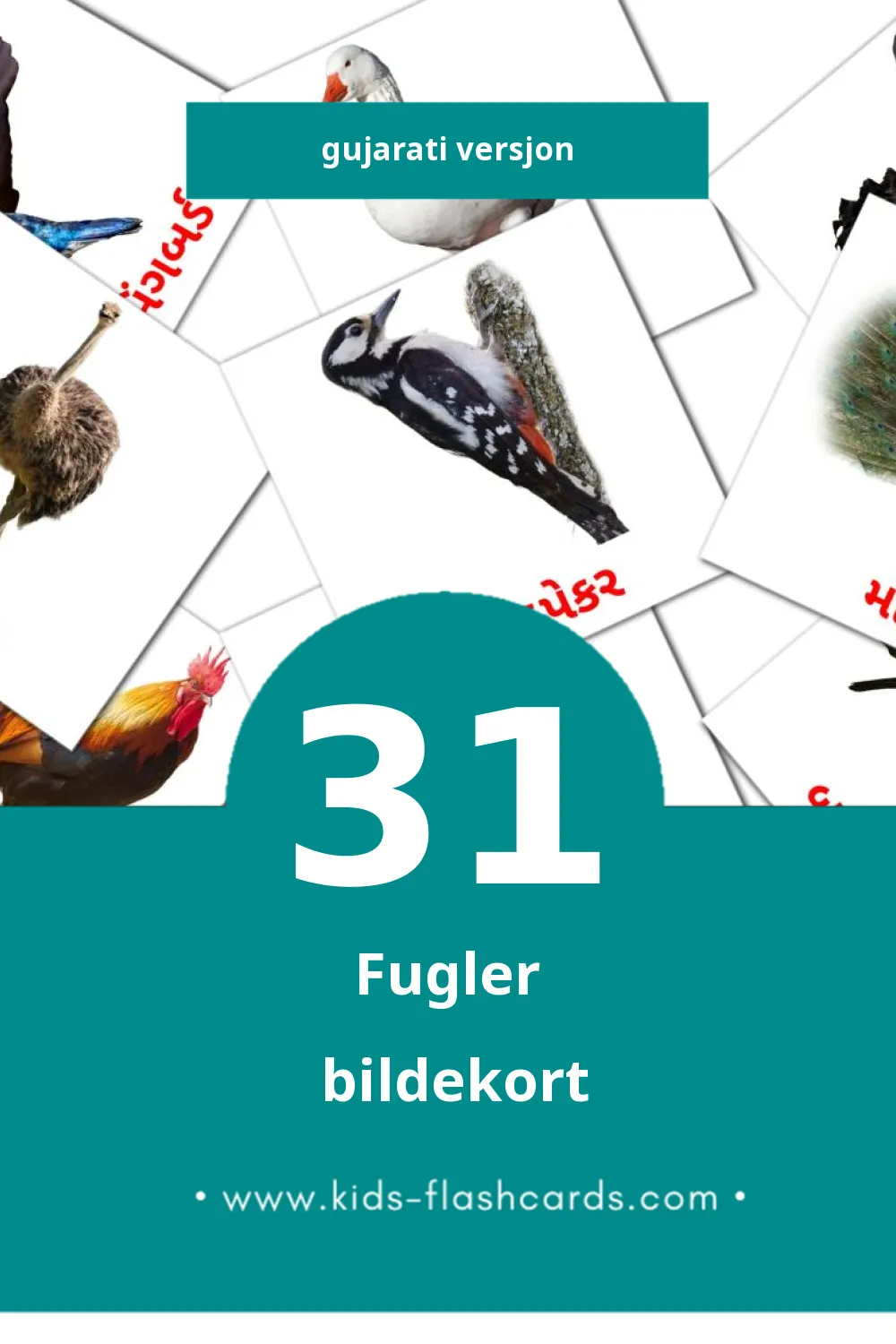 Visuelle પક્ષીઓ bildekort for småbarn (31 kort på Gujarati)