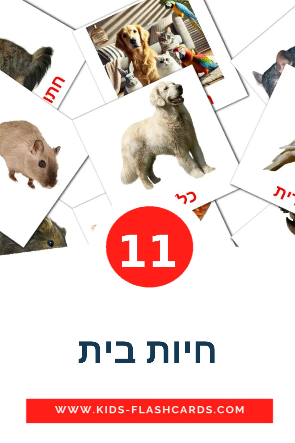 11 חיות בית Bildkarten für den Kindergarten auf Hebräisch