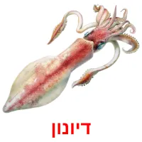 דיונון Bildkarteikarten