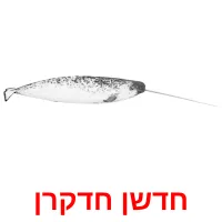 חדשן חדקרן Bildkarteikarten