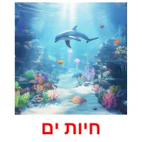 חיות ים Bildkarteikarten