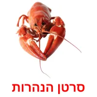 סרטן הנהרות Bildkarteikarten