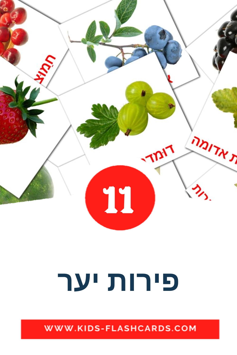 11 פירות יער Picture Cards for Kindergarden in hebrew
