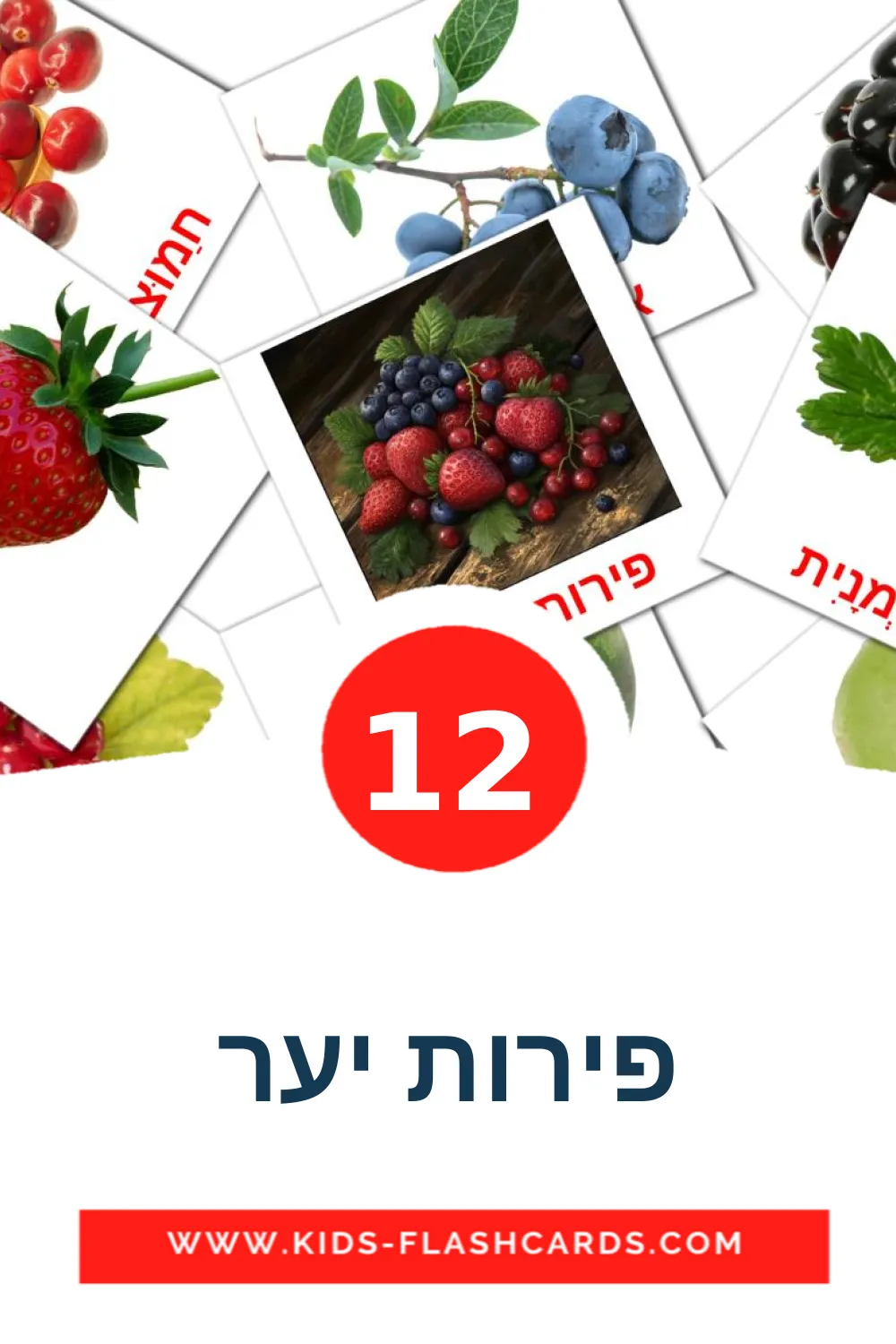 12 פירות יער fotokaarten voor kleuters in het hebreeuws