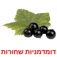 דומדמניות שחורות ansichtkaarten