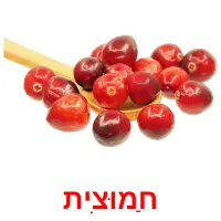 חַמוּצִית ansichtkaarten