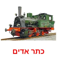 כתר אדים Bildkarteikarten