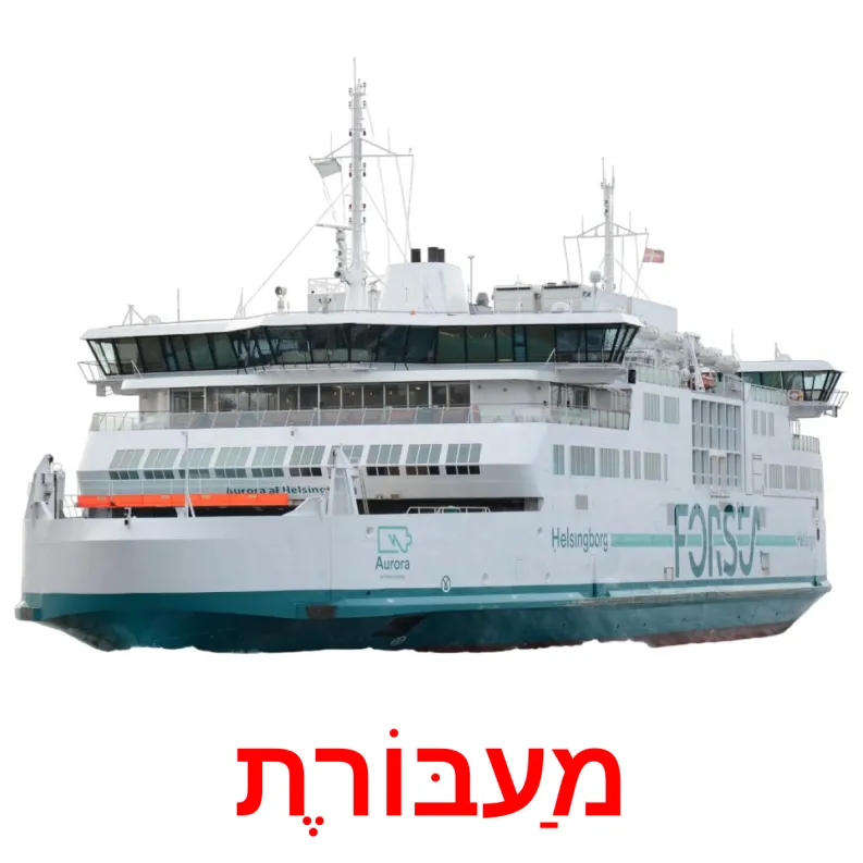 18 FREE Water transport Flashcards | PDF | Hebrew Words
