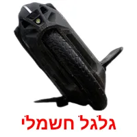 גלגל חשמלי Bildkarteikarten