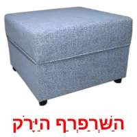 הַשְּׁרַפְרַף הַיָּרֹק Bildkarteikarten