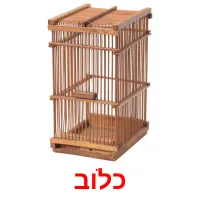 כלוב Bildkarteikarten